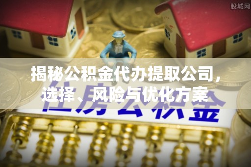 南康揭秘公积金代办提取公司，选择、风险与优化方案