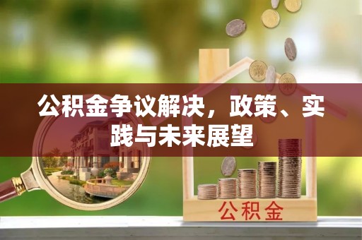 南康公积金争议解决，政策、实践与未来展望