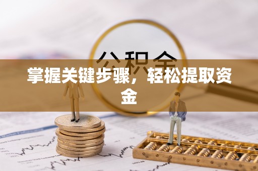 南康掌握关键步骤，轻松提取资金