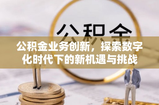 南康公积金业务创新，探索数字化时代下的新机遇与挑战