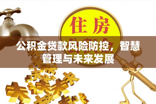 南康公积金贷款风险防控，智慧管理与未来发展