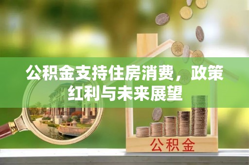 南康公积金支持住房消费，政策红利与未来展望