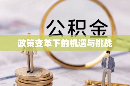 南康政策变革下的机遇与挑战