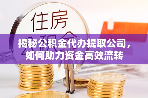南康揭秘公积金代办提取公司，如何助力资金高效流转