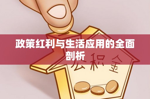 南康政策红利与生活应用的全面剖析