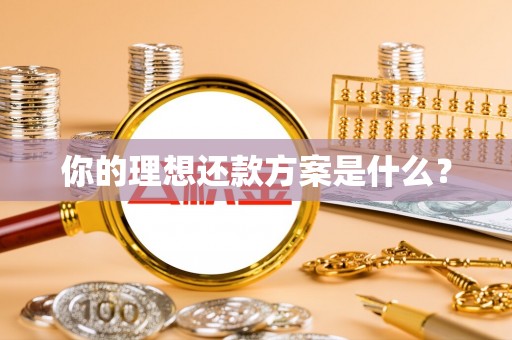 南康你的理想还款方案是什么？