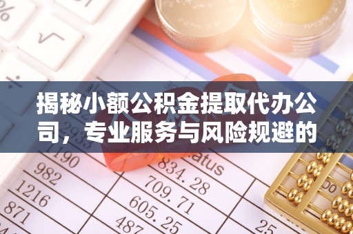 南康揭秘小额公积金提取代办公司，专业服务与风险规避的平衡艺术