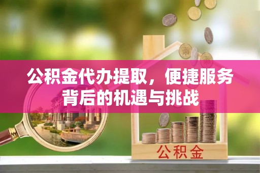 南康公积金代办提取，便捷服务背后的机遇与挑战