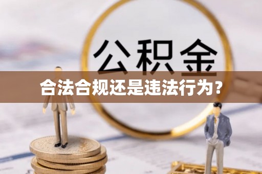 南康合法合规还是违法行为？
