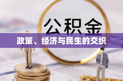 南康政策、经济与民生的交织