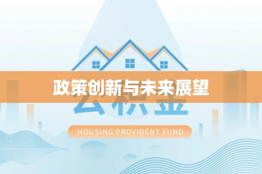 南康政策创新与未来展望