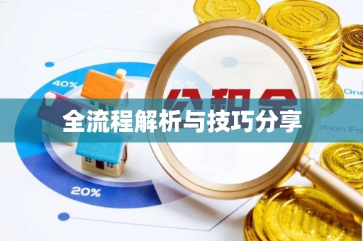 南康全流程解析与技巧分享