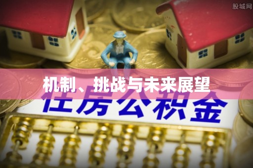 南康机制、挑战与未来展望